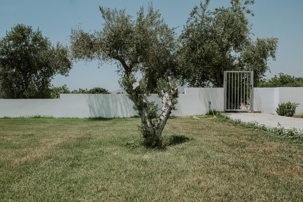 Villa Despoina Paphos 外观 照片